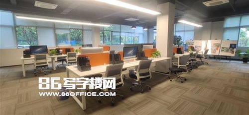 搶占自貿(mào)先機(jī) 上海森蘭美奐寫字樓，賦能跨境電商與醫(yī)療器械新未來(lái)